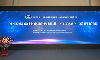 標準引領，浪潮助推 國家信息技術服務標準發布，開啟行業規范化新篇章